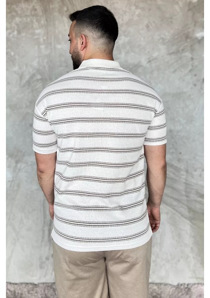 Polo Yaka Çizgili Erkek Tişört P-00017653 modelleri