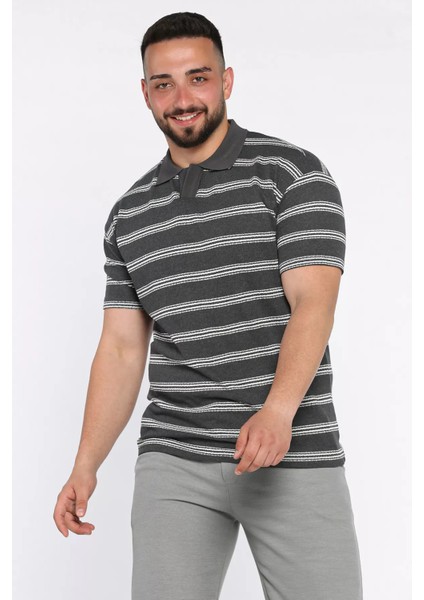 Polo Yaka Çizgili Erkek Tişört P-00017653