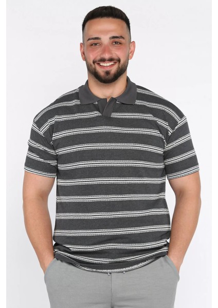 Polo Yaka Çizgili Erkek Tişört P-00017653 fiyatları