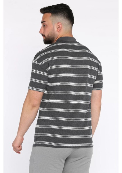 Polo Yaka Çizgili Erkek Tişört P-00017653 modelleri