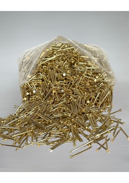 Altın Sarısı Renkli Düz Baş 500 Gram Filografi Çivisi fiyatları