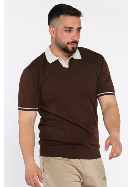 Erkek Polo Yaka Kendinden Çizgi Desenli Triko Tişört P-00016750 fiyatları