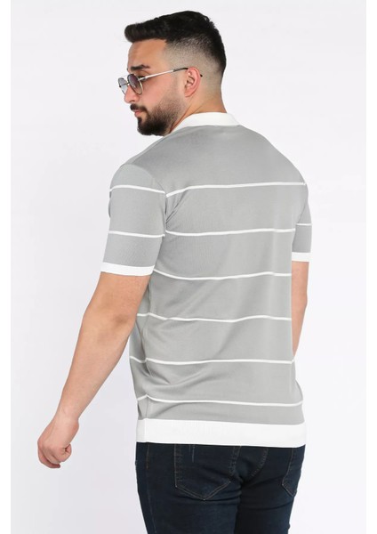 Erkek Polo Yaka Yarım Fermuarlı Çizgi Desenli Triko Tişört P-00016752 modelleri