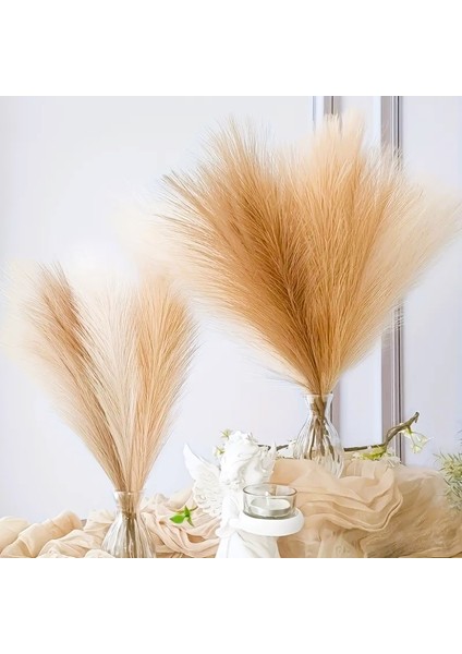 Yapay Pampas Demeti Modern Kuru Çiçek Uzun Ömürlü Doğal Doku