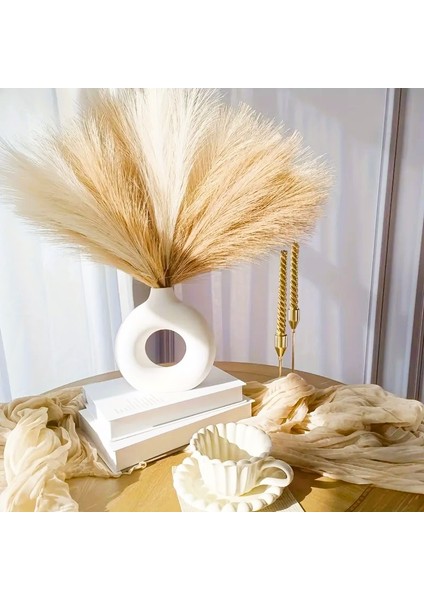 Yapay Pampas Demeti Modern Kuru Çiçek Uzun Ömürlü Doğal Doku fiyatları