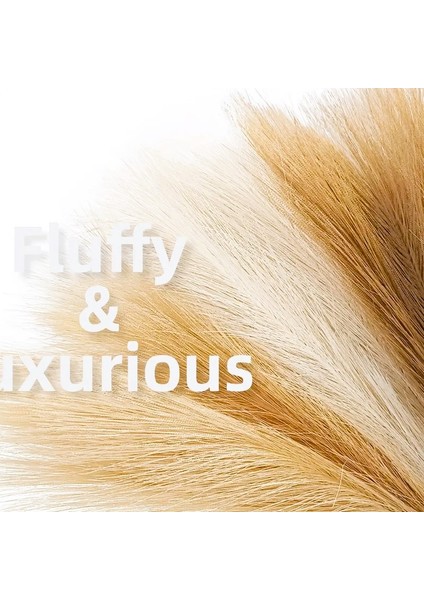 Yapay Pampas Demeti Modern Kuru Çiçek Uzun Ömürlü Doğal Doku modelleri