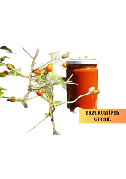 Erzurum Doğal El Yapımı Az Şekerli Kuşburnu Marmelatı 900 gr Cam Kavanoz fiyatları