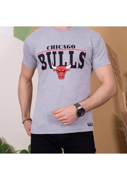 Erkek Kısa Kollu Chicago Bulls Baskılı Tişört fiyatları