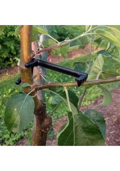 Meyve Ağacı Dalı Gerdirici, Kasık Dallarını Germek Için (Yurt Dışından) modelleri