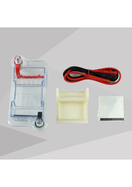 Yatay Elektroforez Tank Jeli Deneysel Öğretim Aracı (Yurt Dışından) fırsatları