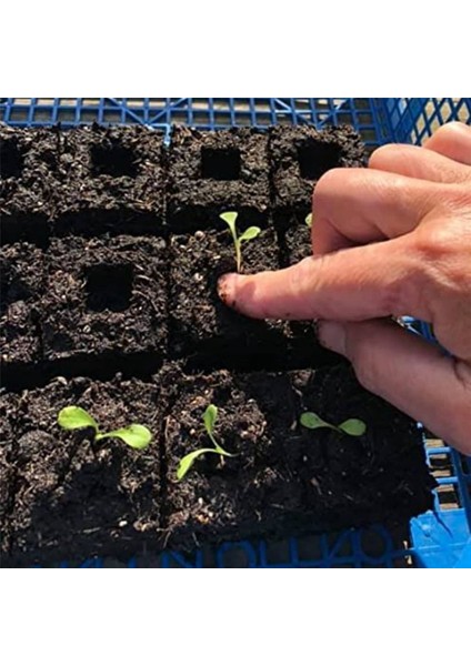 Elde Taşınabilir Fide Toprak Blok Üreticisi 20 Hücreli Çelik Toprak Blokaj Aracı (Yurt Dışından) indirimleri