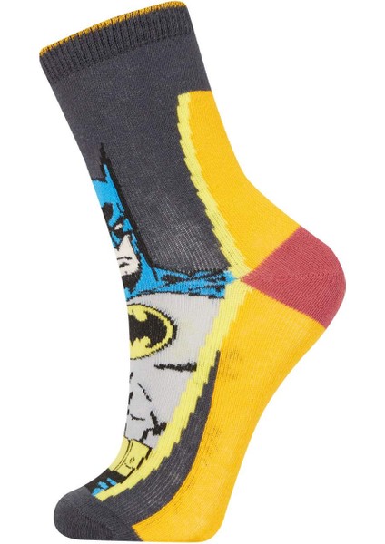Erkek Çocuk Batman 3'Lü Pamuklu Uzun Çorap A6313A8Ns