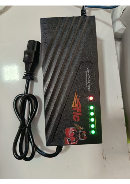 Şarj Aleti Kademe Göstergeli (Oranlı) 48V 20AH