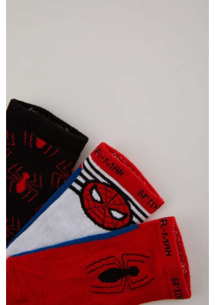 Erkek Çocuk Marvel Spiderman 3'lü Pamuklu Patik Çorap A6342A8NS indirimleri