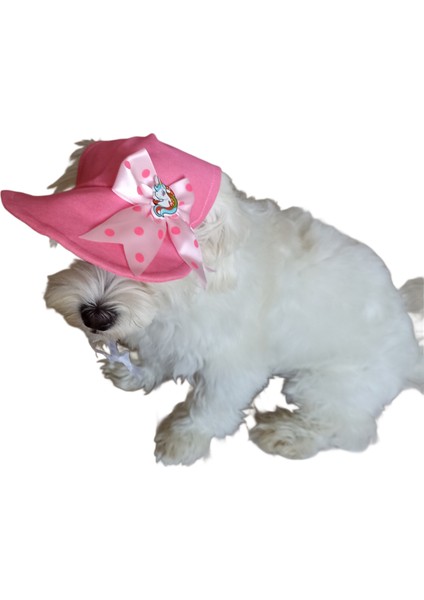 Köpek Şapkası