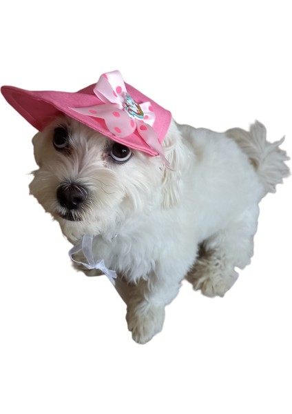 Köpek Şapkası