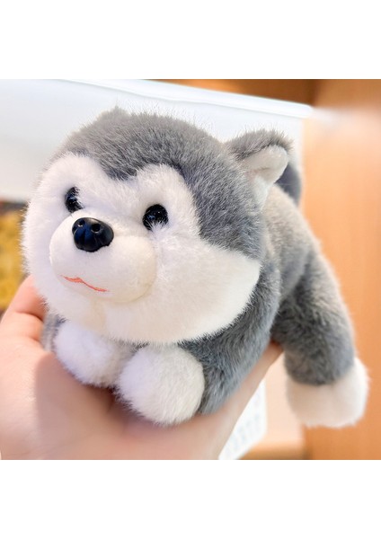 Hayvan Bebek Sevimli Panda Peluş Oyuncak Rakun Bebekler (Yurt Dışından)