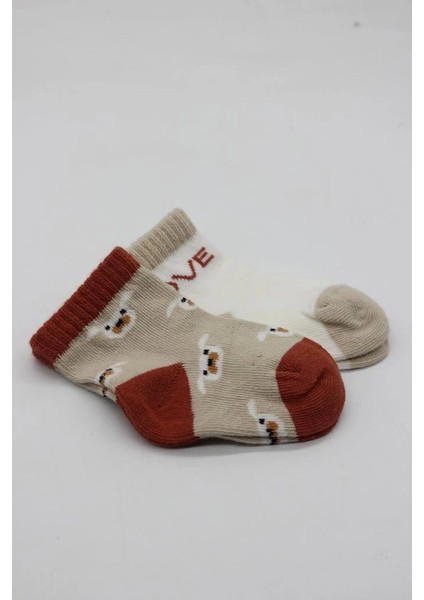 Bfs Bistyle Love Dog Penye Soket Çorap 2'li BS10118 Bej fırsatları