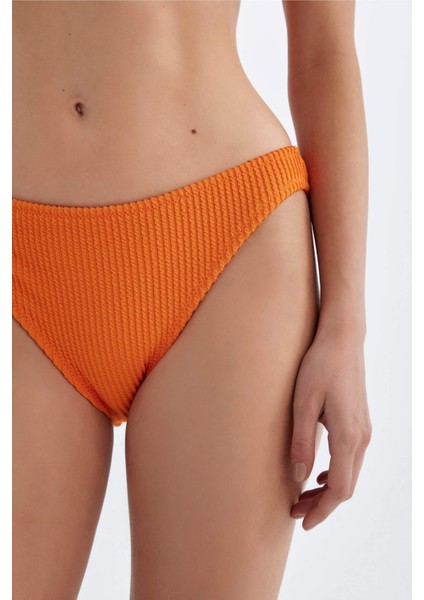 Regular Fit Bikini Altı-Fall in Love B7208AX24SM indirimleri