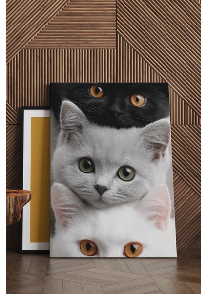 3 Kedi Kanvas Tablo