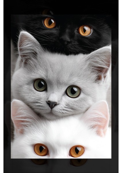 3 Kedi Kanvas Tablo fiyatları