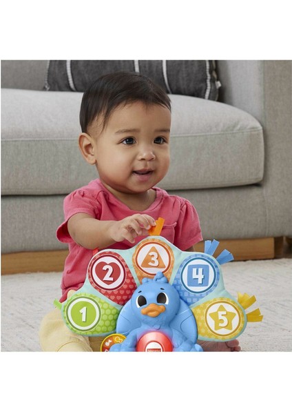 HNN82 Fisher-Price Linkimals - Rengarenk Tavus Kuşu