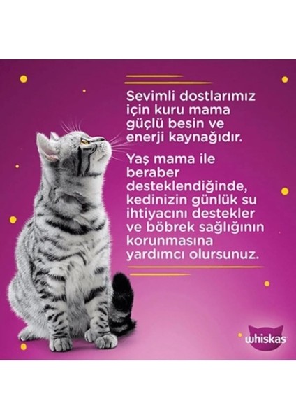 Junior Yavru Klasik Öğünler Sığırlı Tavuklu 4X85 gr (13 Adet)