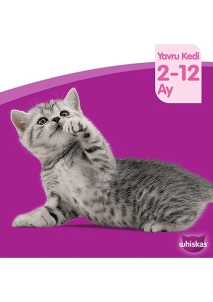 Junior Yavru Klasik Öğünler Sığırlı Tavuklu 4X85 gr (13 Adet)