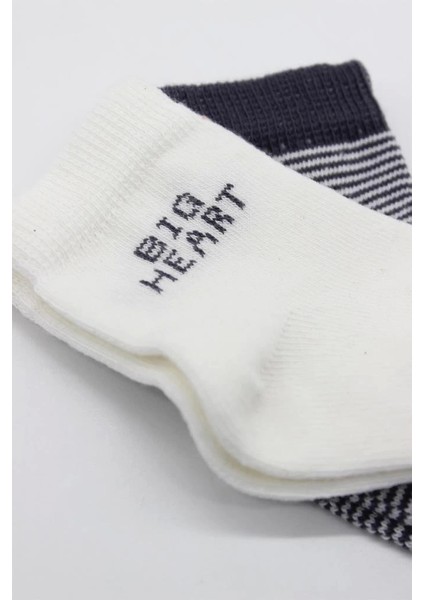 Bfs Bistyle Big Heart Penye Soket Çorap 2'li BS10117 Antrasit fırsatları