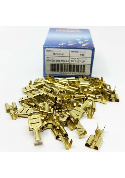 Büyük Dişi Fiş 100 Lük Td 2127