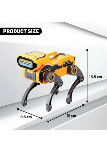 Robo Express 88166 modelleri