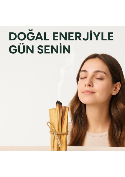 Premium Palo Santo Tütsü Çubuğu (3 Adet) fiyatları