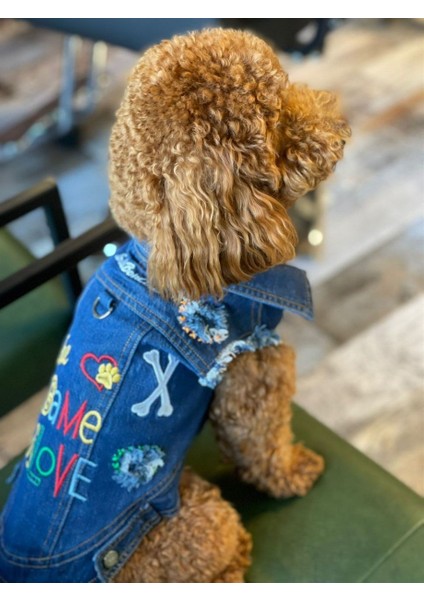 Bcbc Game Of Love Denim Jacket Köpek Ceket modelleri