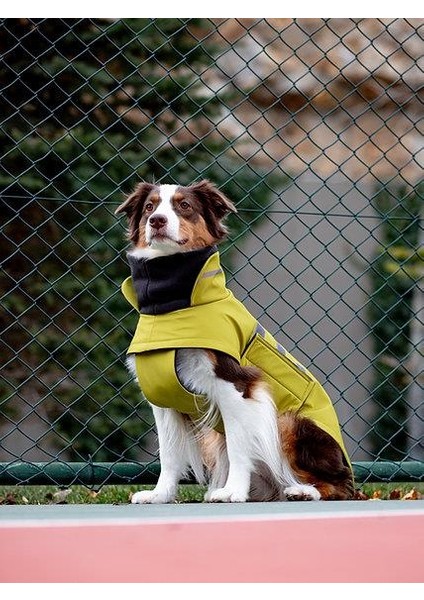 Extreme Wheater Coat I Olive Köpek Montu fırsatları