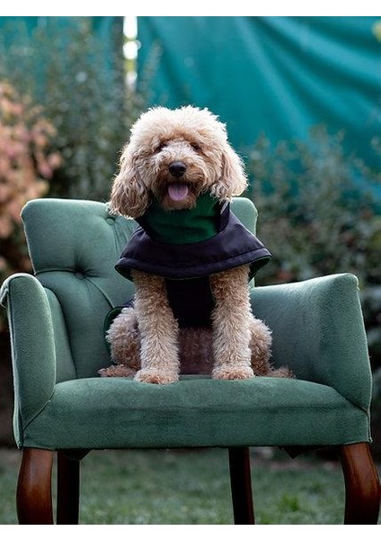 Extreme Wheater Coat I Ink Köpek Montu fiyatları