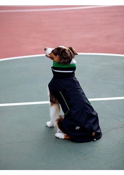 Extreme Wheater Coat I Ink Köpek Montu modelleri