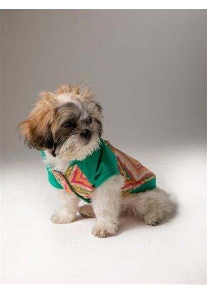 Bella Ethnic Bomber Jacket Köpek Ceket