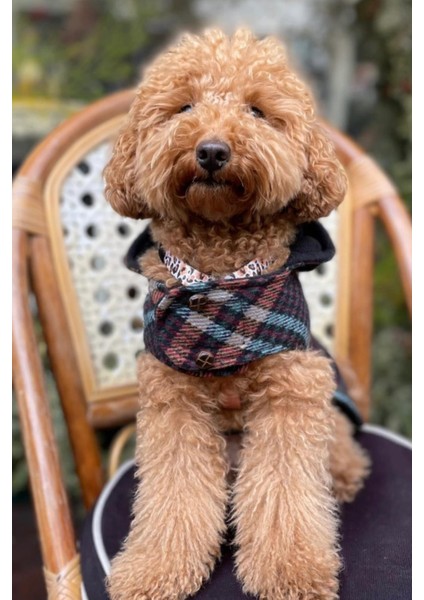 Bcbc Duffle Coat Kapşonlu Köpek Ceket Kahve-Mavi fiyatları