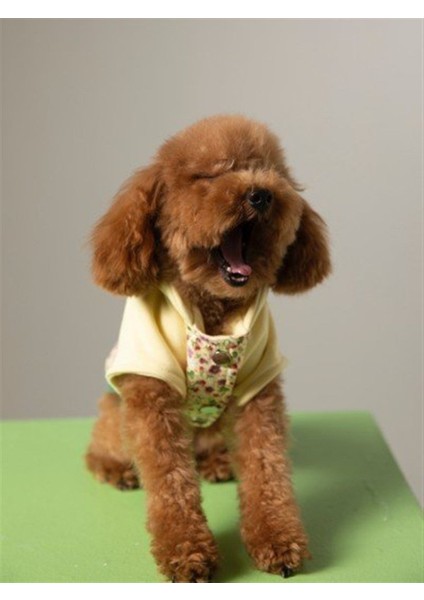 Rosie Bomber Jacket Köpek Ceket