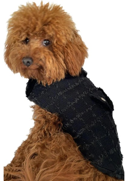 Bcbc Gabriella Coat Köpek Ceket Siyah-Siyah fiyatları