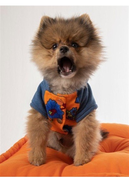 Bailey Bomber Jacket Köpek Ceket
