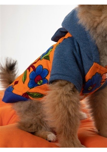Bailey Bomber Jacket Köpek Ceket modelleri