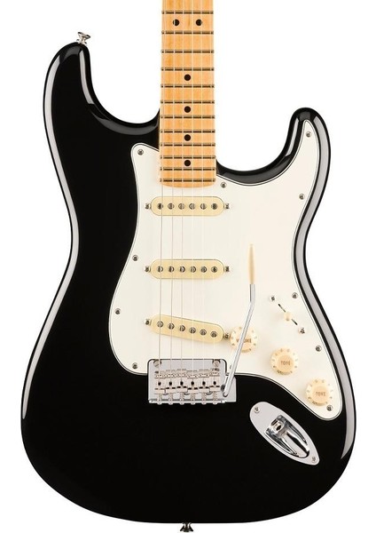 Player Iı Stratocaster Akçaağaç Klavye Black Elektro Gitar modelleri