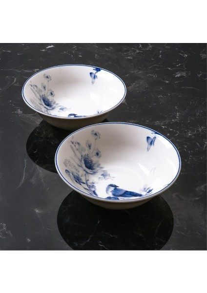 1891 2'li Salata Kase Seti 19 cm fırsatları