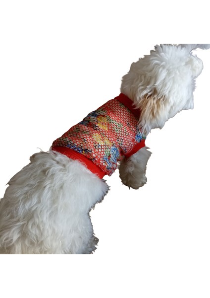 Kedi ve Köpek Tshirt, Köpek File Tshirt