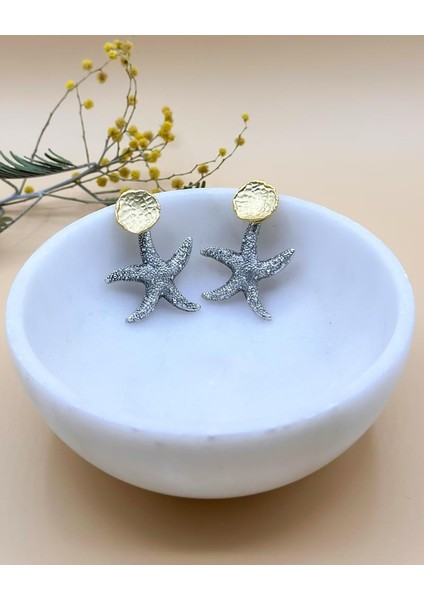 Reyhan Deniz Yıldızı Küpe fiyatları