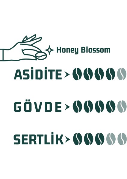 6X100GR Nitelikli Kahve Tadım Seti