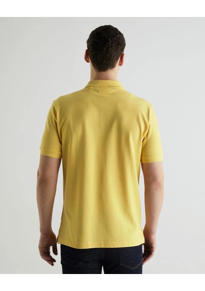 Polo Yaka Regular T-Shirt