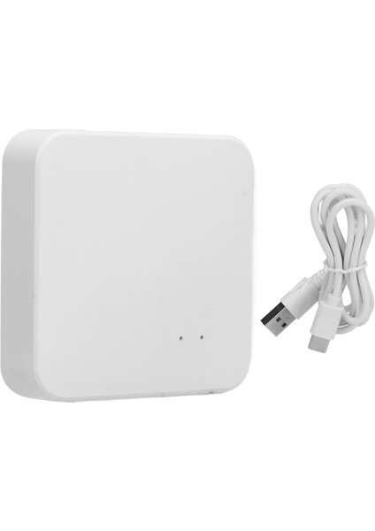 Akıllı Wifi Ağ Geçidi 3'ü 1 Arada Sabit Sinyal C Tipi Çok Modlu Akıllı Hub Bluetooth Ağ Geçidi DC5V (Yurt Dışından)