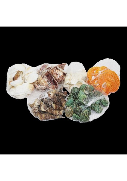 Fileli Midye Deniz Kabuk Vazo Taşı Renkli Mix (5047)